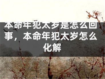 本命年犯太岁是怎么回事，本命年犯太岁怎么化解