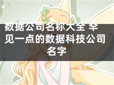 数据公司名称大全 罕见一点的数据科技公司名字