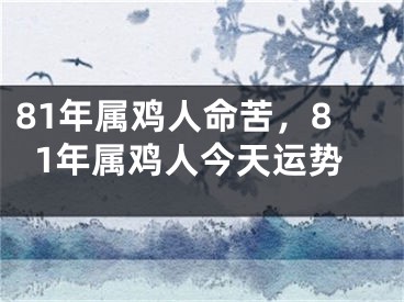 81年属鸡人命苦，81年属鸡人今天运势