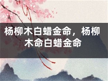 杨柳木白蜡金命，杨柳木命白蜡金命