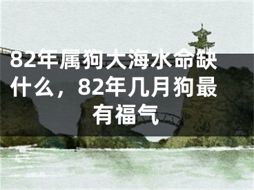 82年属狗大海水命缺什么，82年几月狗最有福气