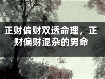 正财偏财双透命理，正财偏财混杂的男命