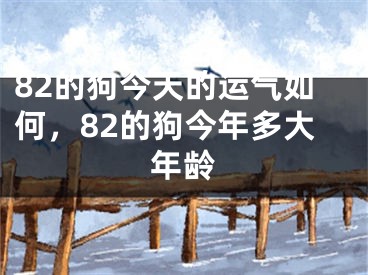 82的狗今天的运气如何，82的狗今年多大年龄
