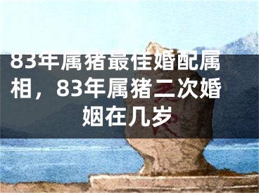 83年属猪最佳婚配属相,83年属猪二次婚姻在几岁