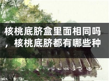 核桃底脐盒里面相同吗，核桃底脐都有哪些种