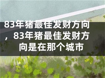 83年猪最佳发财方向，83年猪最佳发财方向是在那个城市