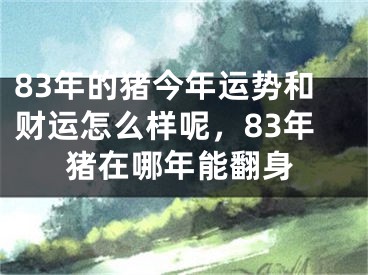 83年的猪今年运势和财运怎么样呢，83年猪在哪年能翻身