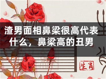 渣男面相鼻梁很高代表什么,鼻梁高的丑男