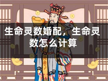 生命灵数婚配,生命灵数怎么计算