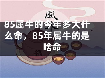 85属牛的今年多大什么命，85年属牛的是啥命