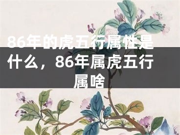 86年的虎五行属性是什么，86年属虎五行属啥