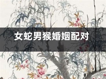 女蛇男猴婚姻配对