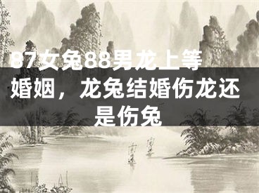 87女兔88男龙上等婚姻，龙兔结婚伤龙还是伤兔