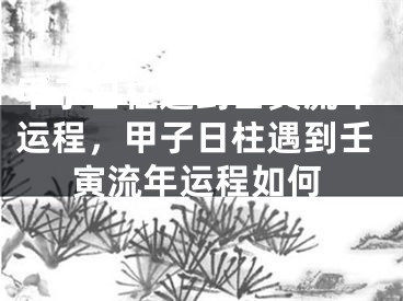 甲子日柱遇到壬寅流年运程,甲子日柱遇到壬寅流年运程如何