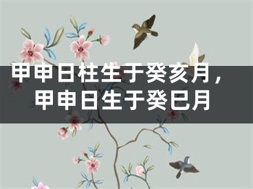 甲申日柱生于癸亥月，甲申日生于癸巳月