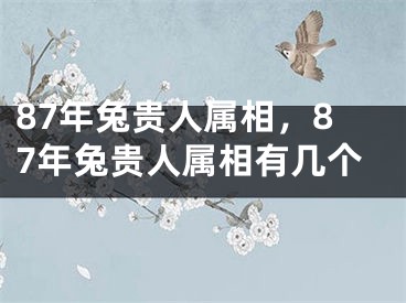 87年兔贵人属相,87年兔贵人属相有几个