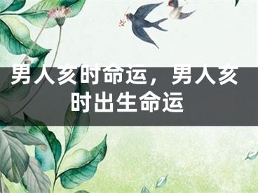 男人亥时命运，男人亥时出生命运