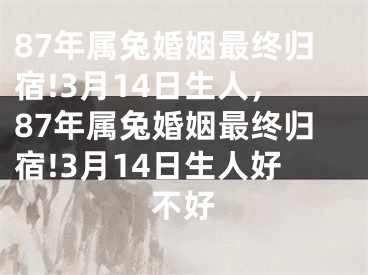 87年属兔婚姻最终归宿!3月14日生人，87年属兔婚姻最终归宿!3月14日生人好不好