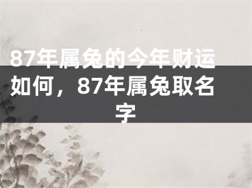 87年属兔的今年财运如何，87年属兔取名字