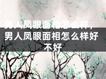 男人凤眼面相怎么样,男人凤眼面相怎么样好不好