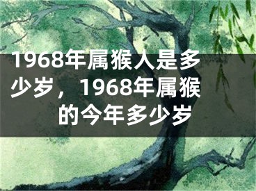 1968年属猴人是多少岁，1968年属猴的今年多少岁