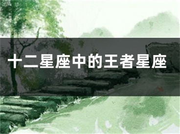 十二星座中的王者星座