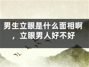 男生立眼是什么面相啊，立眼男人好不好