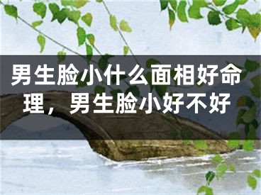男生脸小什么面相好命理，男生脸小好不好