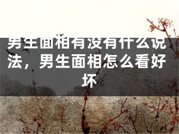 男生面相有没有什么说法，男生面相怎么看好坏