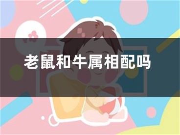 老鼠和牛属相配吗