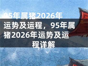 95年属猪2026年运势及运程，95年属猪2026年运势及运程详解
