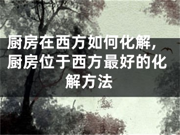 厨房在西方如何化解,厨房位于西方最好的化解方法