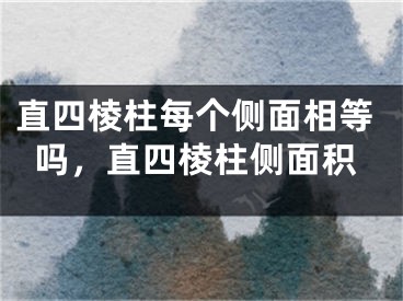 直四棱柱每个侧面相等吗,直四棱柱侧面积