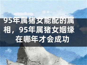 95年属猪女能配的属相，95年属猪女姻缘在哪年才会成功