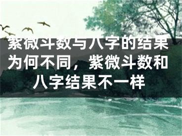紫微斗数与八字的结果为何不同,紫微斗数和八字结果不一样