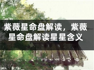 紫薇星命盘解读，紫薇星命盘解读星星含义