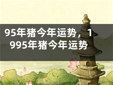 95年猪今年运势，1995年猪今年运势