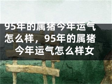 95年的属猪今年运气怎么样，95年的属猪今年运气怎么样女
