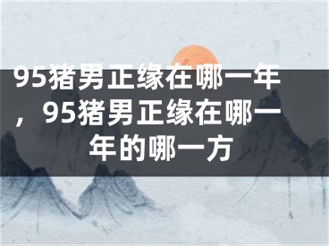 95猪男正缘在哪一年，95猪男正缘在哪一年的哪一方