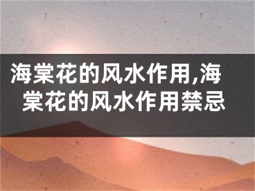 海棠花的风水作用,海棠花的风水作用禁忌