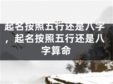 起名按照五行还是八字，起名按照五行还是八字算命
