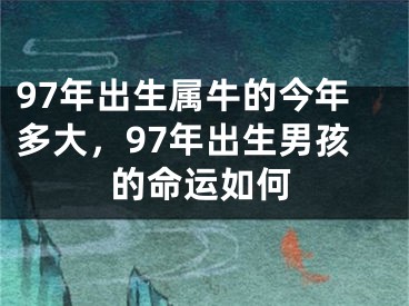 97年出生属牛的今年多大，97年出生男孩的命运如何