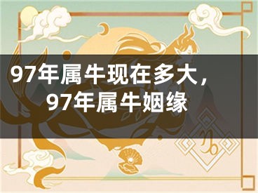 97年属牛现在多大，97年属牛姻缘