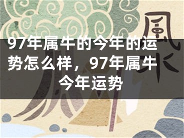 97年属牛的今年的运势怎么样，97年属牛今年运势