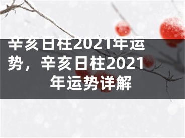 辛亥日柱2021年运势,辛亥日柱2021年运势详解