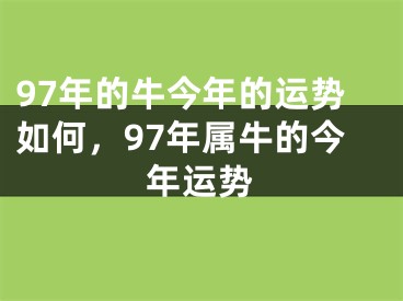 97年的牛今年的运势如何，97年属牛的今年运势