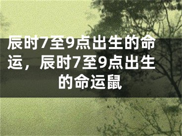 辰时7至9点出生的命运，辰时7至9点出生的命运鼠