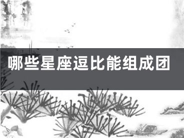 哪些星座逗比能组成团