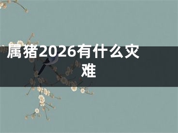 属猪2026有什么灾难