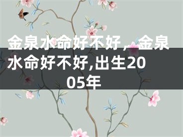 金泉水命好不好，金泉水命好不好,出生2005年